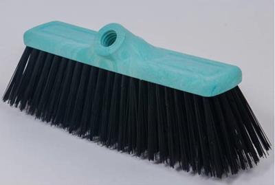 Escobillon Barregrueso