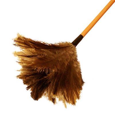 Plumero Nâº 35 Especial