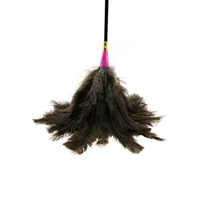 Plumero Grande Nâº 1