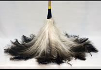 Plumero Grande Especial