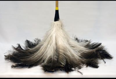 Plumero Grande Especial