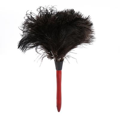 Plumero Chico Especial