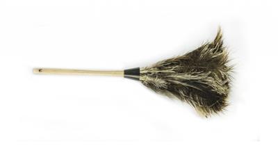 Plumero Nâ°30 Especial